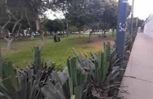 Parque Virgen del Buen Remedio