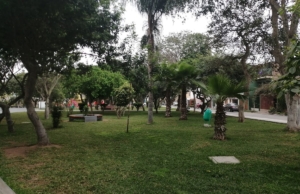 Parque San Francisco de Asis