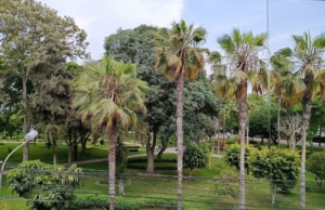 Parque Leonardo Alvariño