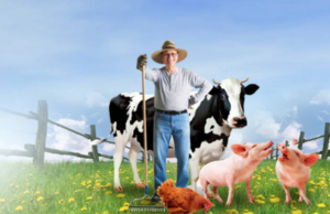 Vetanis S.A.C. – Pasaje Las Collas 127