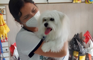 Veterinaria Dos De Mayo – Av. Dos De Mayo 710