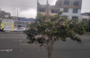 Caja Metropolitana de Lima – Av. Túpac Amaru 659