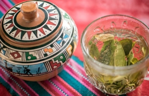  Mate de coca en Perú: tradición, cultura y consejos para viajeros