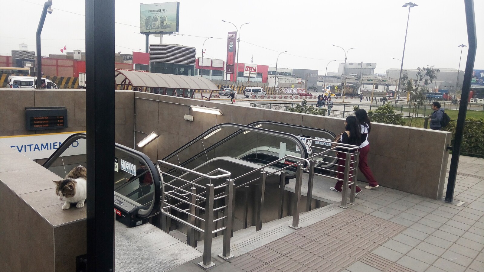Acceso al metro: escaleras mecánicas y felino