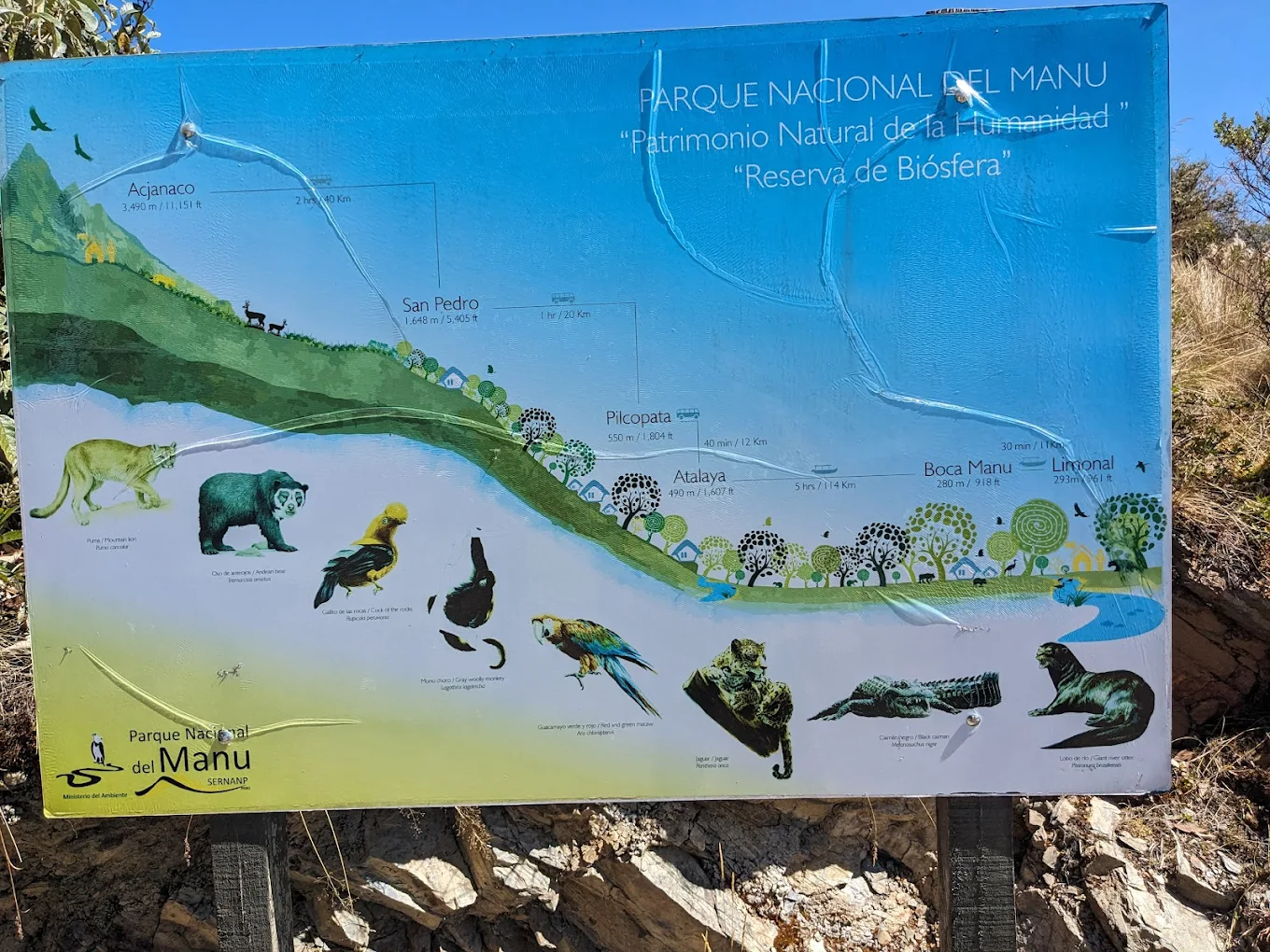 Biodiversidad y elevaciones en el Parque Nacional del Manu