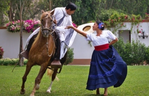  Marinera y Caballo Peruano de Paso: Cuando la Gracia se Vuelve Símbolo Nacional