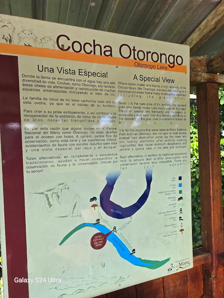 Información sobre la Cocha Otorongo en el Manu
