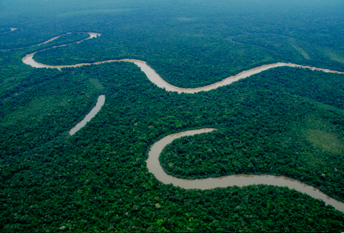 Río serpenteante en el Parque Nacional del Manu