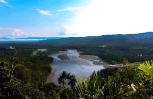  Parque Nacional del Manu: Viaje al Corazón Salvaje de la Amazonía Peruana ️