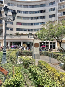 Busto en parque urbano: día soleado