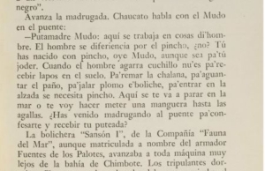 El zorro de arriba y el zorro de abajo