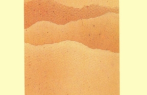 Las mujeres y el poder: Una historia de Villa El Salvador