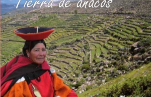 Tierra de anacos