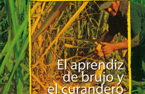 El aprendiz de brujo y el curandero chino: Etnicidad y modernidad en el Perú