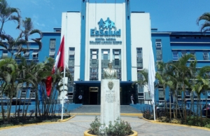 Hospital Nacional Guillermo Almenara Irigoyen