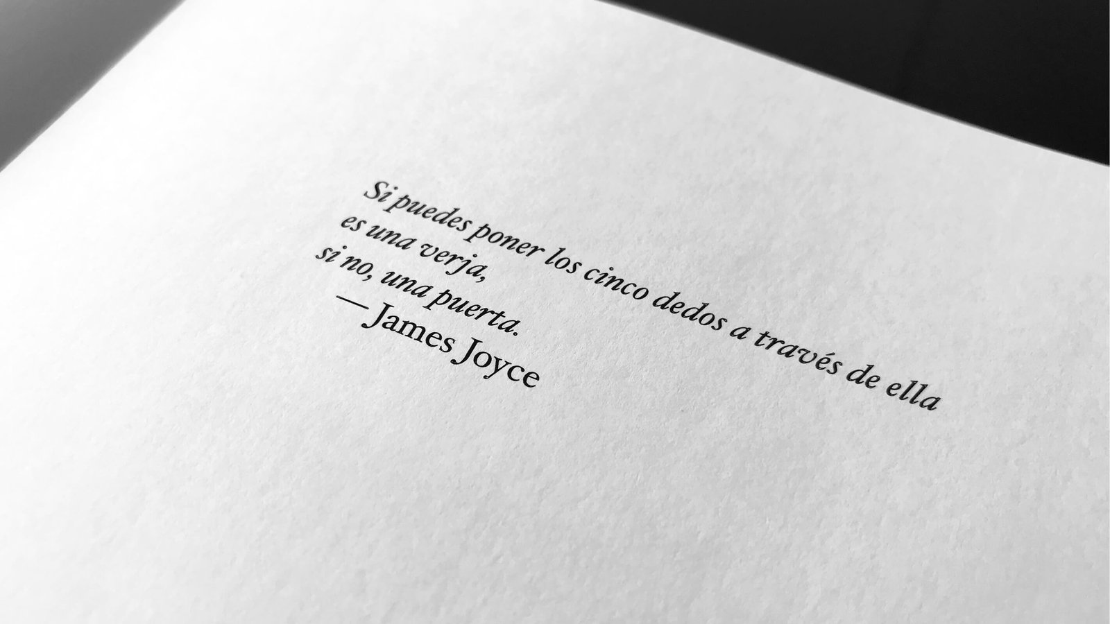 Joyce: la verja y la puerta en palabras