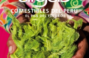 Algas comestibles del Perú: El pan del futuro