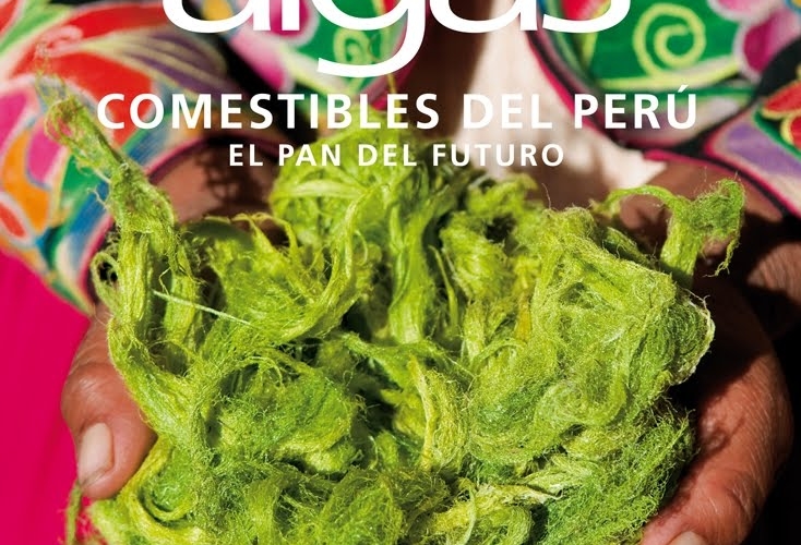 Tesoro marino andino: Algas comestibles, un futuro…