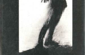 La Aventura de Mariátegui: Nuevas Perspectivas