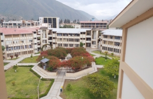 Universidad Nacional Hermilio Valdizán