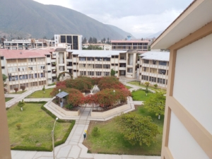 Universidad Nacional Hermilio Valdizán