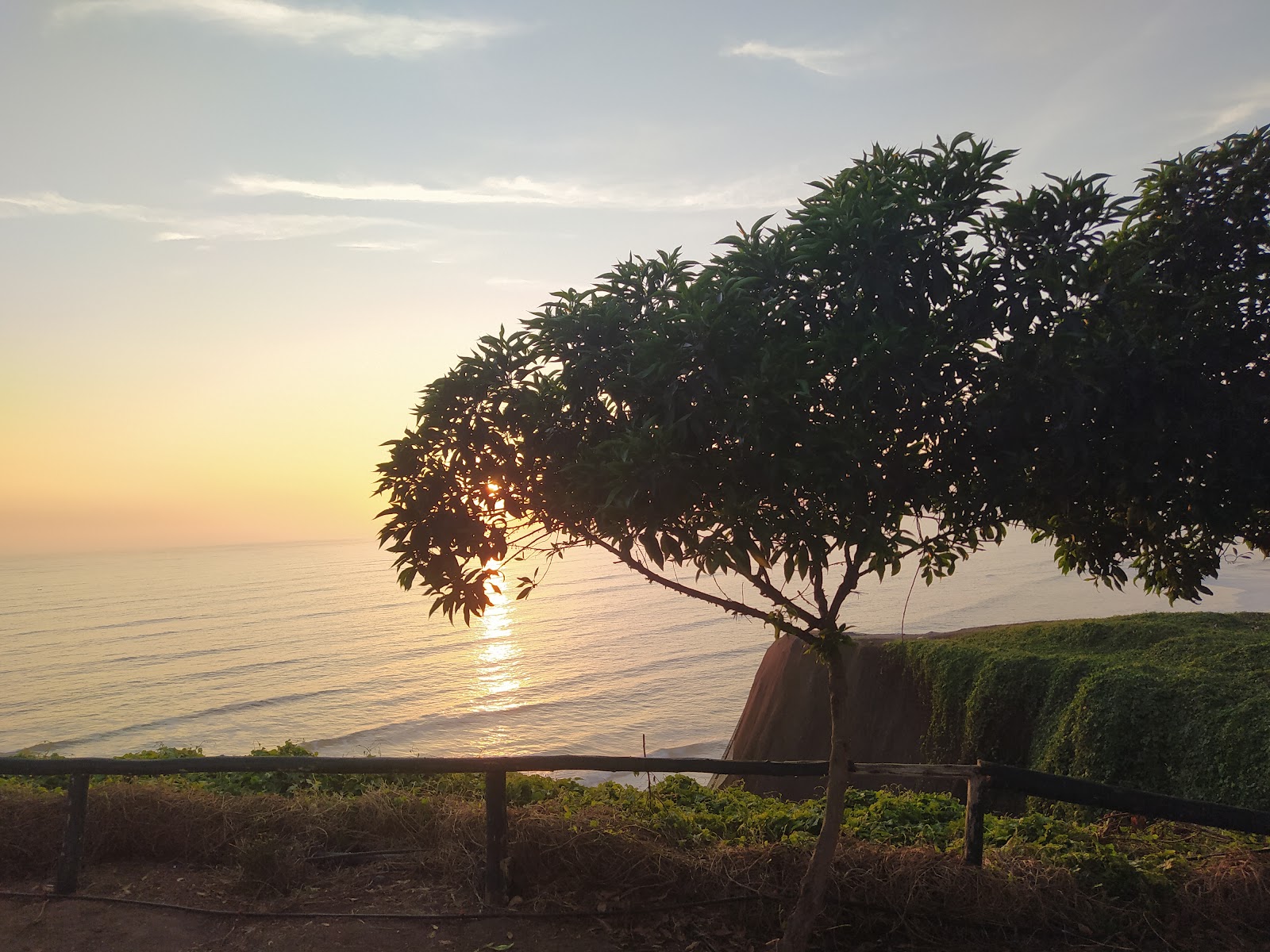 Atardecer en Miraflores: un árbol y el mar