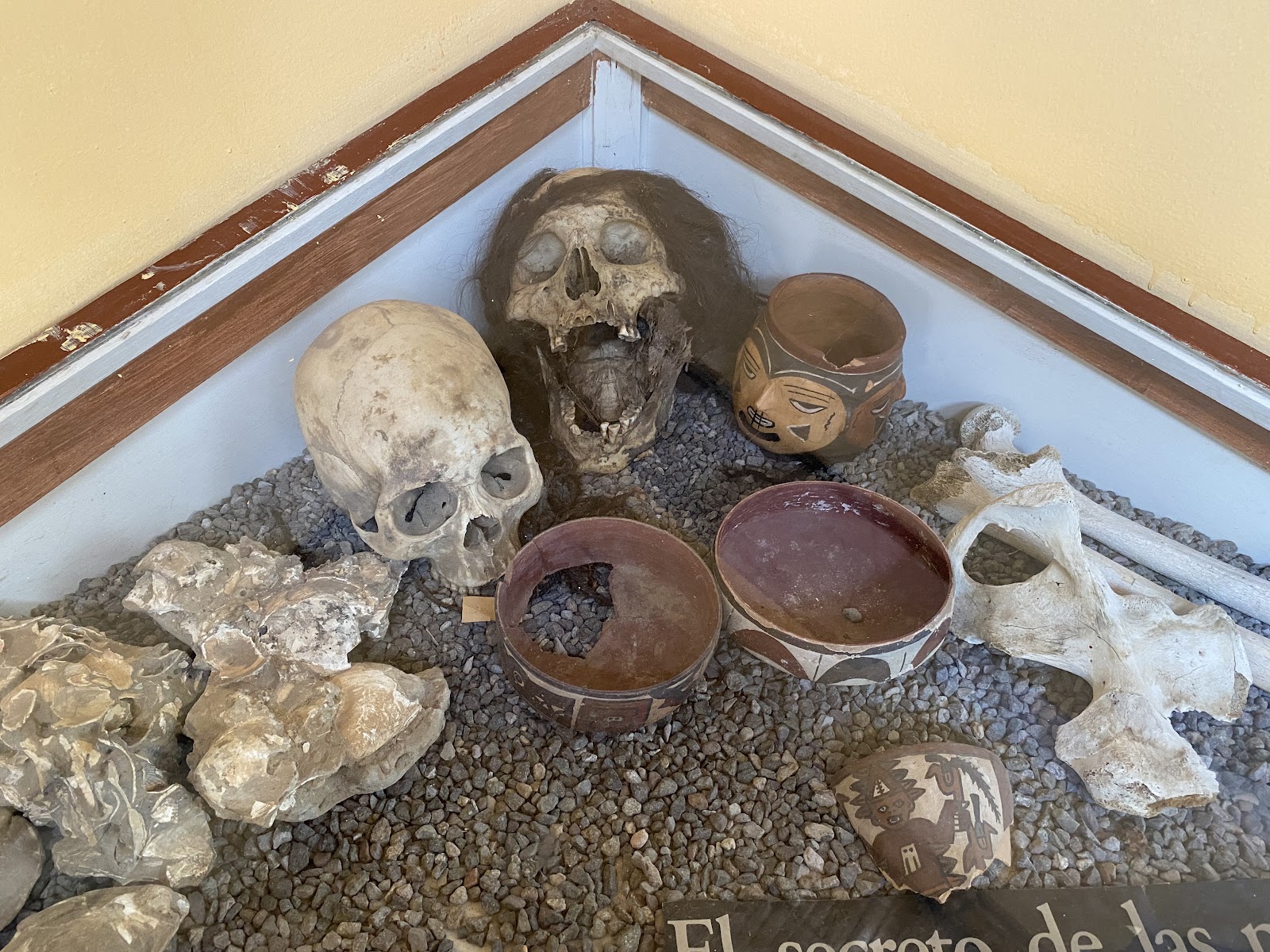 Exhibición de restos humanos y cerámica en el Museo María Reiche