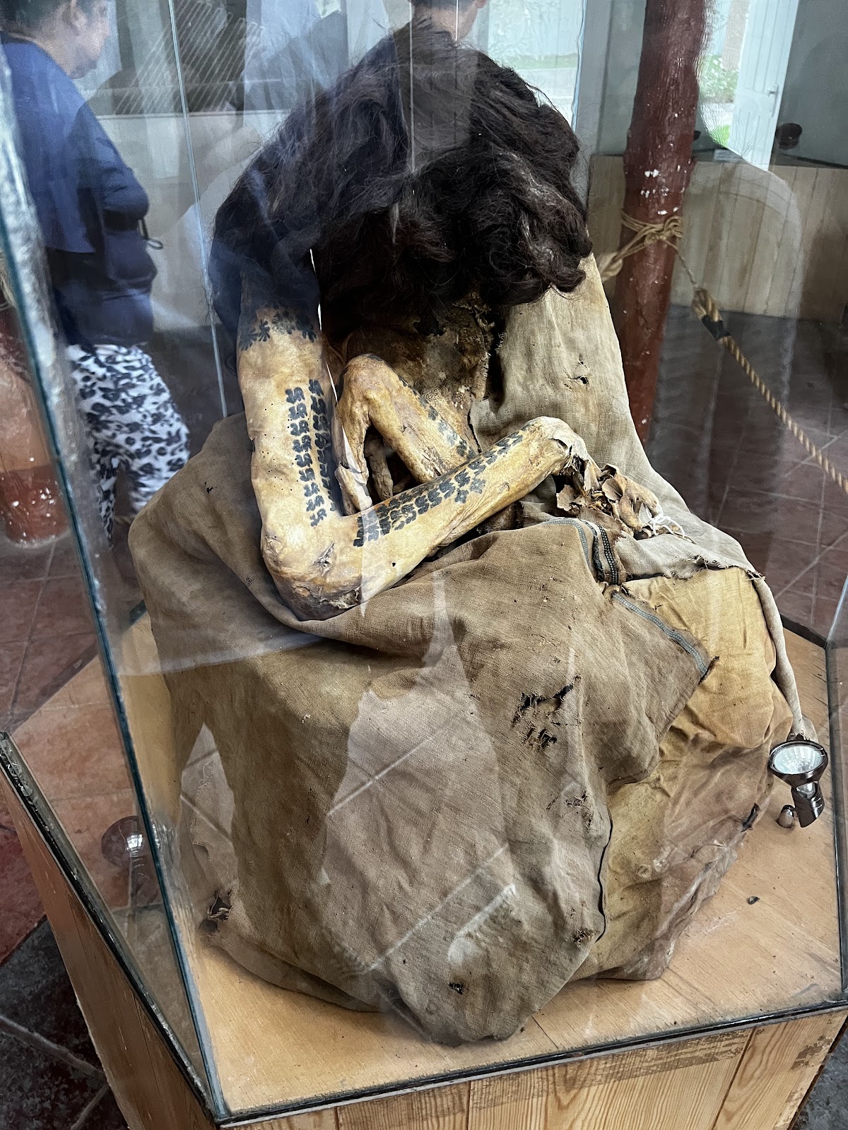 Momia tatuada en exhibición en el Museo María Reiche, Perú
