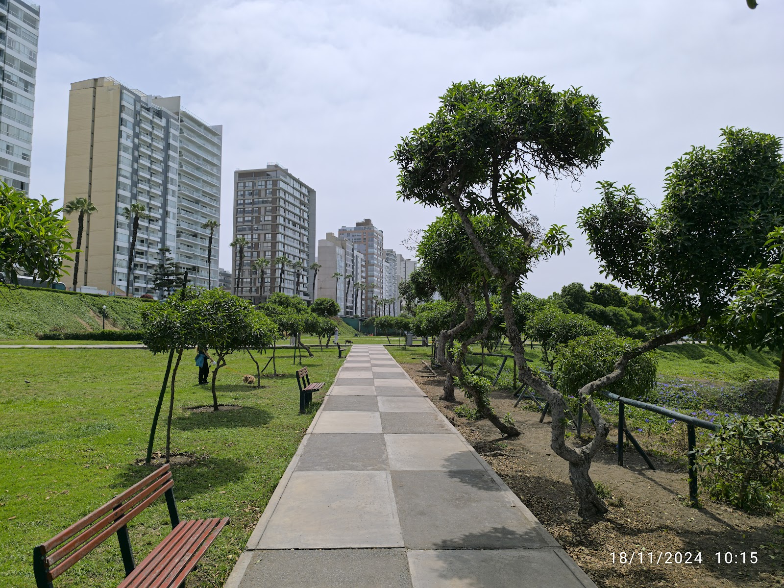 Sendero arbolado en el Parque María Reiche, Miraflores